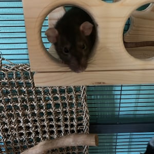 Payton added a photo of their purchase