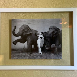 Dovima with Elephants // Richard Avedon - Signed & Unsigned