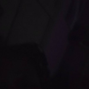 Danielle added a photo of their purchase