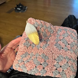 Michelle added a photo of their purchase