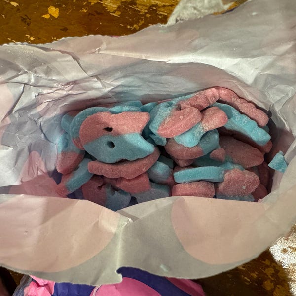 4x Lipton Orange Black Tea Pyramid 20p – Zesty, Refreshing & Rainforest ...