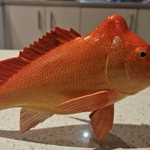 Martin adicionaram uma foto da sua compra