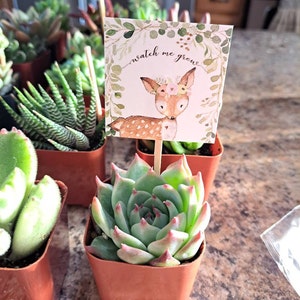 Nicky added a photo of their purchase