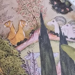 Shiva added a photo of their purchase