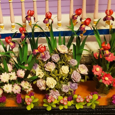 Miniature Primula Auricula Flower in the Box 1:12 Dollshouse - Etsy