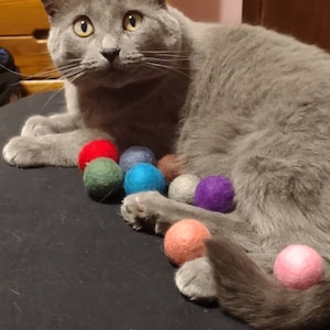 Courtney added a photo of their purchase