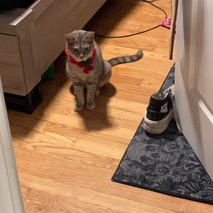 Makayla added a photo of their purchase