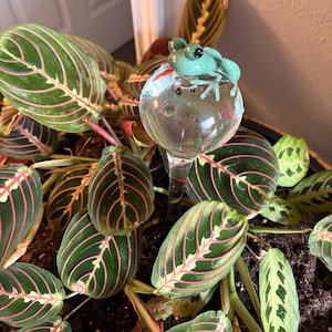 Alina added a photo of their purchase