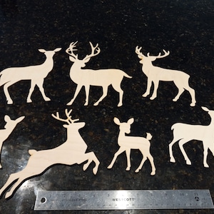 Laurie added a photo of their purchase