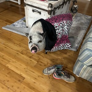Libby heeft een foto van de aankoop toegevoegd