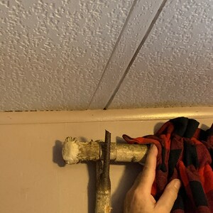 Sharon ha añadido una foto de su compra