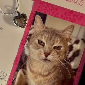 Sherri added a photo of their purchase