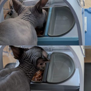 Acheteur Etsy a ajouté une photo de son achat