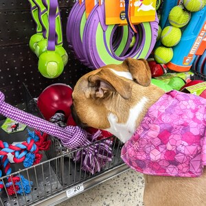 Manda added a photo of their purchase