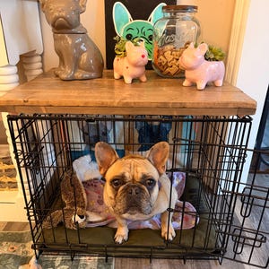 Tracy added a photo of their purchase