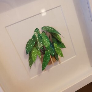 CheekyGerman added a photo of their purchase