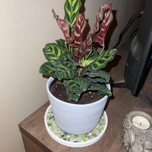 Comprador de Etsy ha añadido una foto de su compra