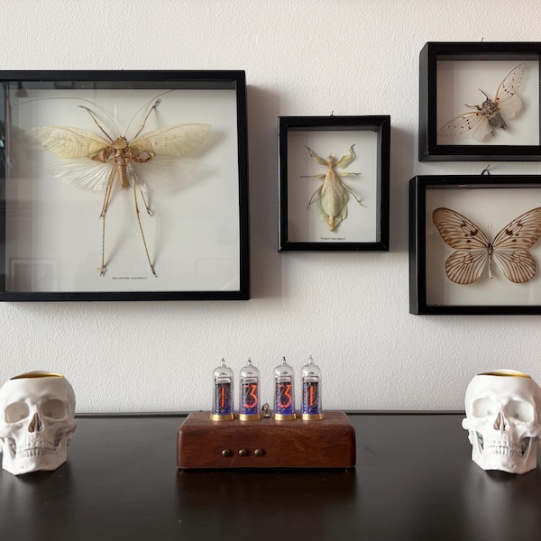 Olivenorma Gothic Skull Wood Wall Crystal Shelf main image 0