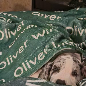 Julia さんが購入した商品の写真を追加しました