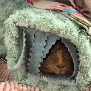 Sophie added a photo of their purchase