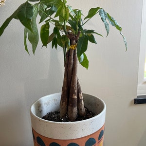 Kelsey added a photo of their purchase