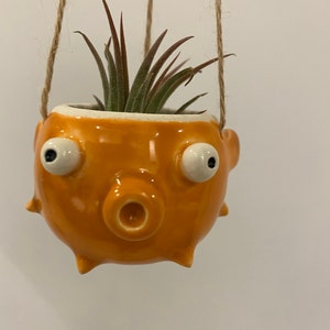 Sea Creature Air Plant Hanger Tillandsia Holder. Hanging - Etsy