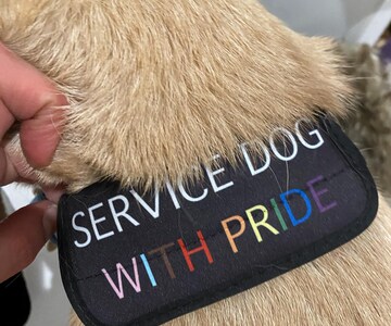 Collar Wrap, Slide On ID, Wrap Around Dog ID, Silent Dog Tag, Leash Handle Wrap, Bandana, Deaf Id, Blind Id, Medical Id, Choose Your Design