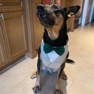 Janeli added a photo of their purchase