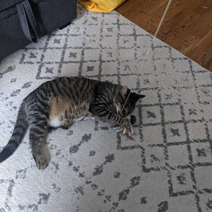 Melissa heeft een foto van de aankoop toegevoegd