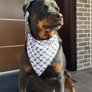 Seki added a photo of their purchase