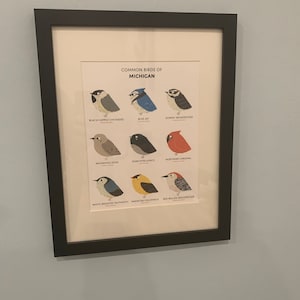 Common State Birds of North Carolina Art Print Illustrated Chubby Bird Print North Carolina ...