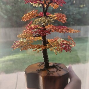 Mama added a photo of their purchase