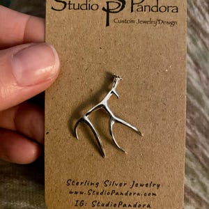 Molly added a photo of their purchase