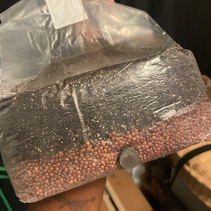 James added a photo of their purchase