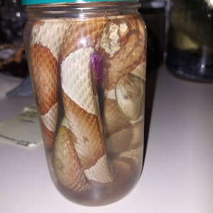 Benjamin adicionaram uma foto da sua compra