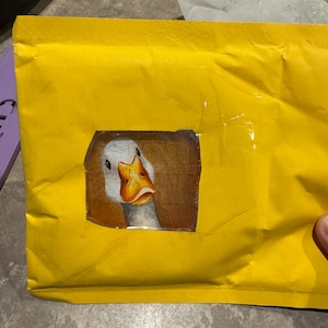 Emily added a photo of their purchase
