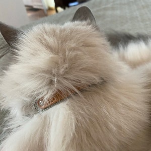 Clarice added a photo of their purchase