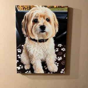 Lou added a photo of their purchase