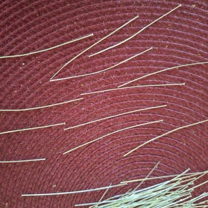 Dorothea added a photo of their purchase