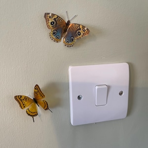 Lorraine added a photo of their purchase