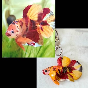 Lily added a photo of their purchase