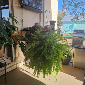 Terri added a photo of their purchase