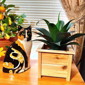Margaret added a photo of their purchase