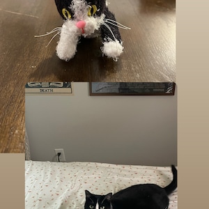 Vered added a photo of their purchase