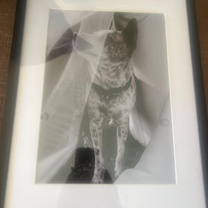 Julie さんが購入した商品の写真を追加しました