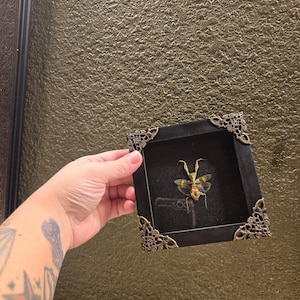 Stephanie ha añadido una foto de su compra