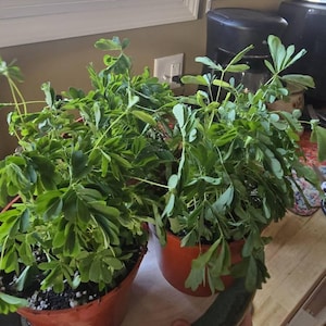 Tanya added a photo of their purchase