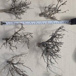 Edward added a photo of their purchase