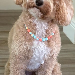 Deborah added a photo of their purchase