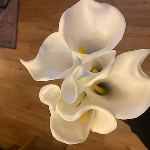 Marina added a photo of their purchase